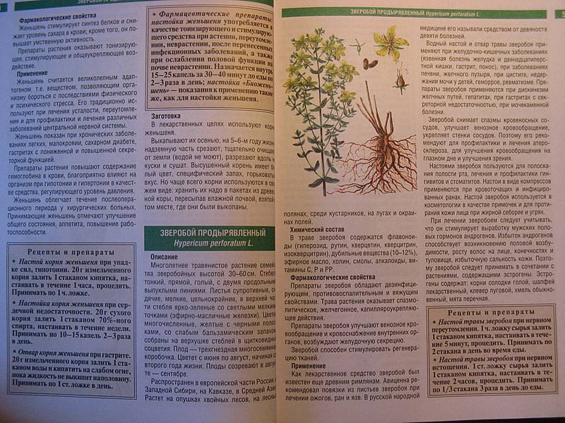 Иллюстрация 5 из 10 для Самые необходимые лекарственные растения - Иван Куреннов | Лабиринт - книги. Источник: NataliOk