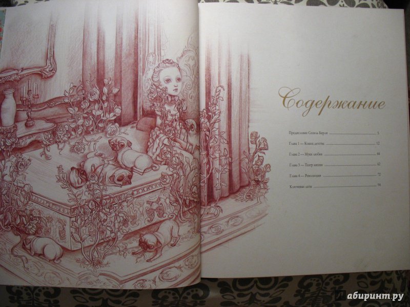 Иллюстрация 5 из 61 для Мария-Антуанетта. Тайный дневник королевы - Бенжамен Лакомб | Лабиринт - книги. Источник: dar_jan