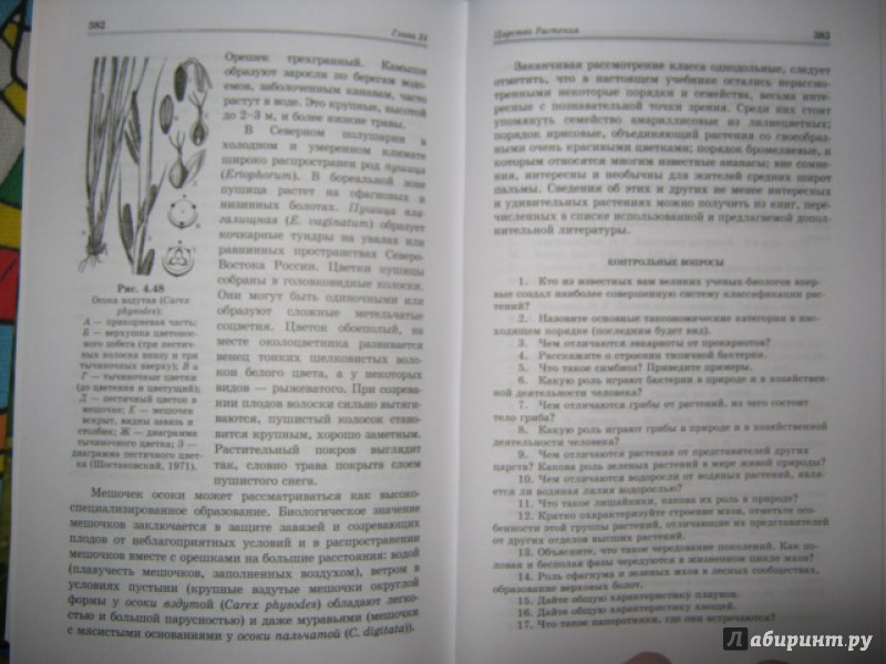 Иллюстрация 14 из 14 для Ботаника. Учебник - Брынцев, Коровин ...