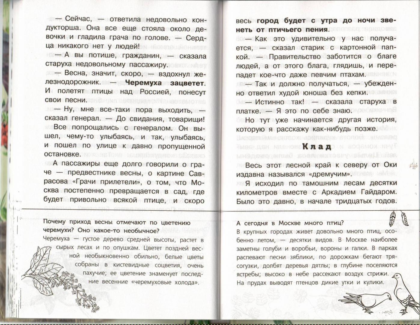 Иллюстрация 17 из 20 для Барсучий нос - Константин Паустовский | Лабиринт - книги. Источник: Лабиринт