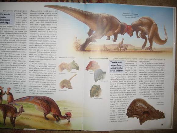 Иллюстрация 6 из 17 для Динозавры - Иоахим Опперман | Лабиринт - книги. Источник: Jazz