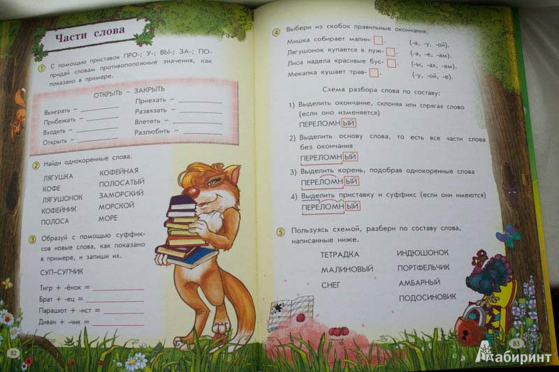 Иллюстрация 28 из 48 для Все правила русского языка для детей - Мария Фетисова | Лабиринт - книги. Источник: Wacomka