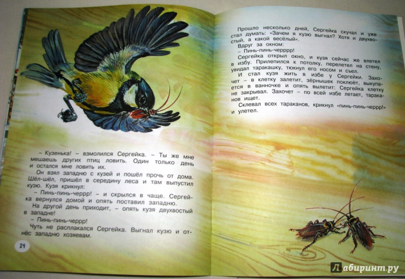 Иллюстрация 26 из 54 для Кузя двухвостый - Виталий Бианки | Лабиринт - книги. Источник: Бог в помощь