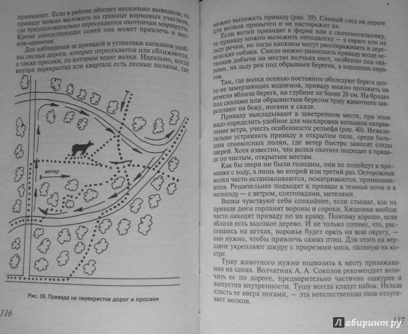 Иллюстрация 8 из 10 для Охота на волка - А. Суворов | Лабиринт - книги. Источник: SiB