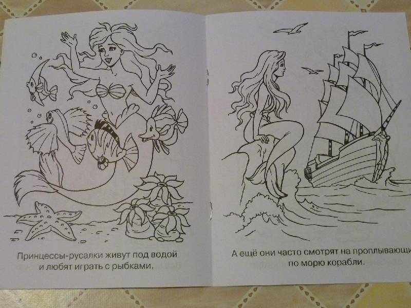 Иллюстрация 14 из 21 для Мечты принцесс. Голубая книжка. Раскраска | Лабиринт - книги. Источник: Терра