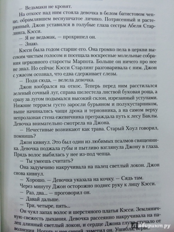 Иллюстрация 39 из 43 для Пир Джона Сатурналла - Лоуренс Норфолк | Лабиринт - книги. Источник: Тихонова  Светлана Алексеевна