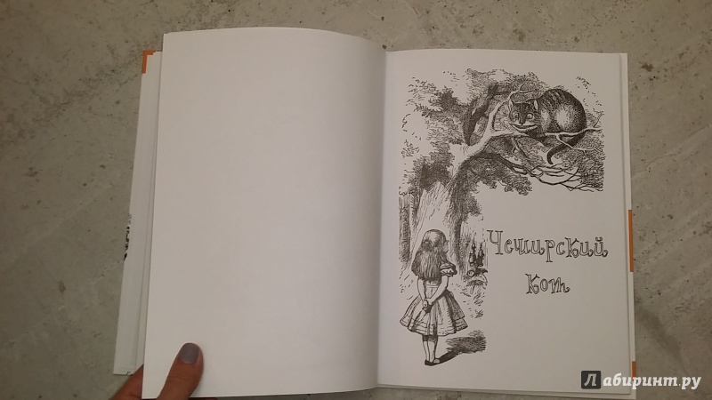 Иллюстрация 14 из 18 для Алиса Джона Тенниела. Раскраски, поднимающие настроение | Лабиринт - книги. Источник: Машкова Анна