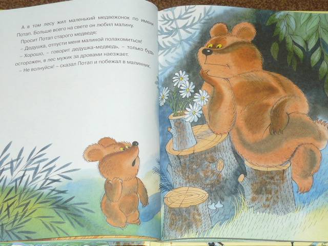 Иллюстрация 32 из 73 для Петя и медвежонок Потап - Виктор Чижиков | Лабиринт - книги. Источник: Ромашка:-)