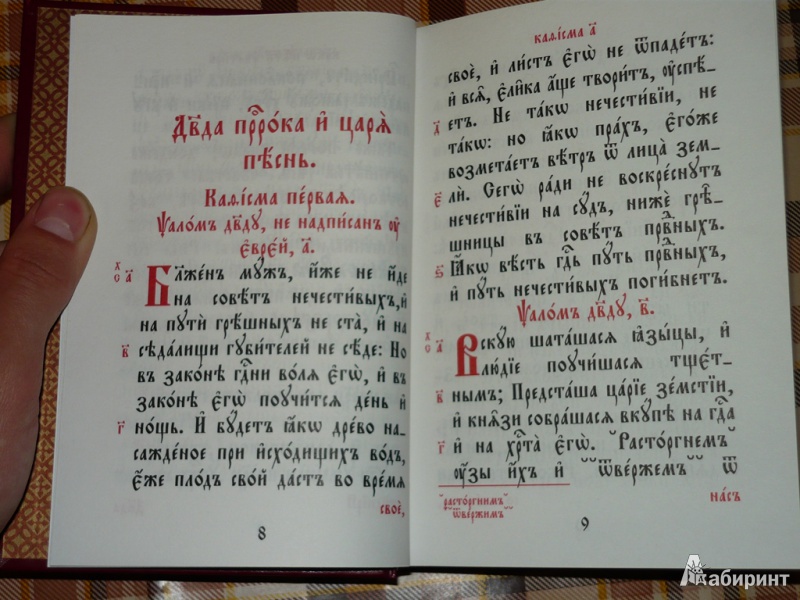 Иллюстрация 5 из 6 для Псалтирь на церковнославянском языке | Лабиринт - книги. Источник: Nikita.Tahirov