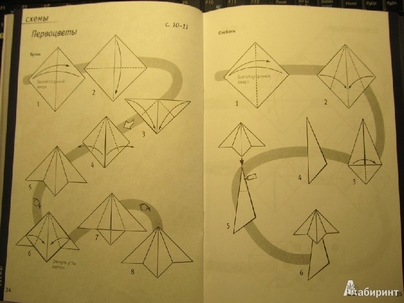 Иллюстрация 10 из 13 для Первые оригами - Миюки Лаца | Лабиринт - книги. Источник: Голубева  Екатерина