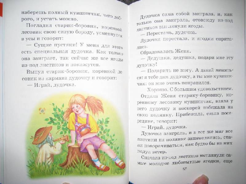 Иллюстрация 18 из 20 для Цветик-семицветик - Валентин Катаев | Лабиринт - книги. Источник: Шакти