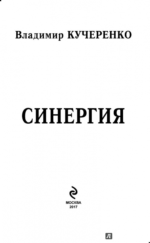 Иллюстрация 2 из 14 для Синергия - Владимир Кучеренко | Лабиринт - книги. Источник: МаЛенкаЯ