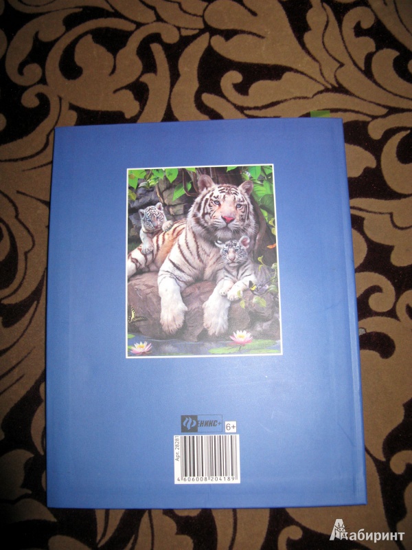 Иллюстрация 3 из 5 для Дневник школьный универсальный "Белые тигры" (28281) | Лабиринт - канцтовы. Источник: Nairina