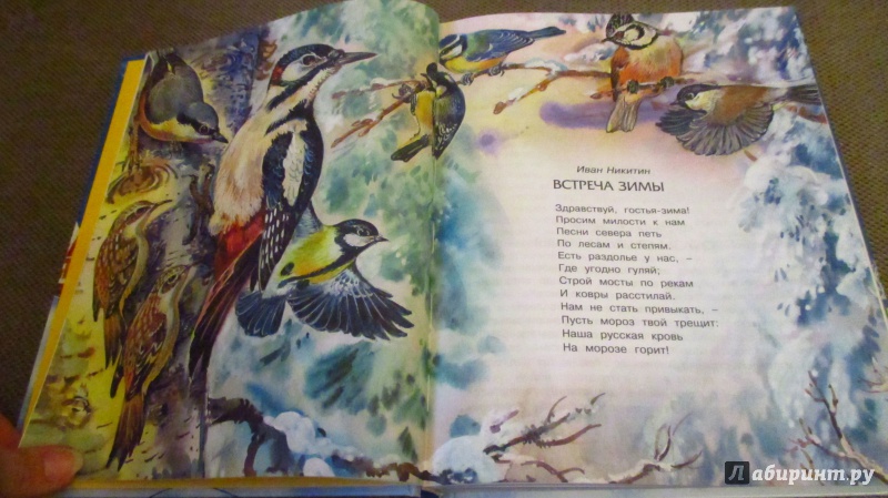 Иллюстрация 17 из 48 для Праздники для маленьких проказников | Лабиринт - книги. Источник: Вероника Руднева