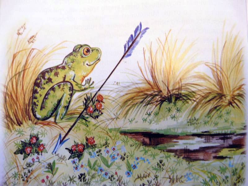 Иллюстрация 15 из 41 для Царевна-лягушка | Лабиринт - книги. Источник: Smity