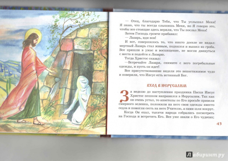 Иллюстрация 9 из 11 для Евангельская история для детей | Лабиринт - книги. Источник: _Ирина_