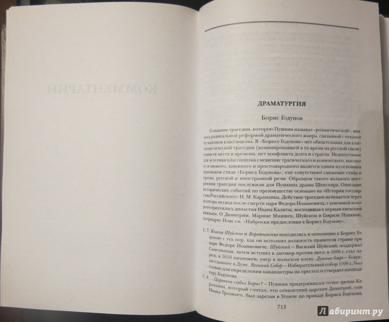 Иллюстрация 6 из 31 для Драматургия. Проза - Александр Пушкин | Лабиринт - книги. Источник: anschaffen