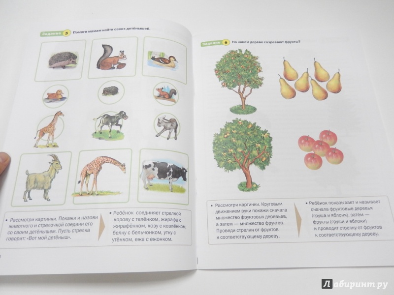 Иллюстрация 4 из 6 для Обучение математике. Для занятий с детьми 4-5 лет. Средняя группа. ФГОС ДО | Лабиринт - книги. Источник: dbyyb