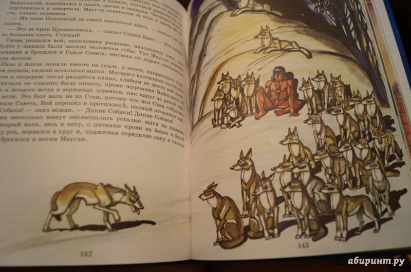 Иллюстрация 51 из 64 для Маугли - Редьярд Киплинг | Лабиринт - книги. Источник: Тухкина  Евгения