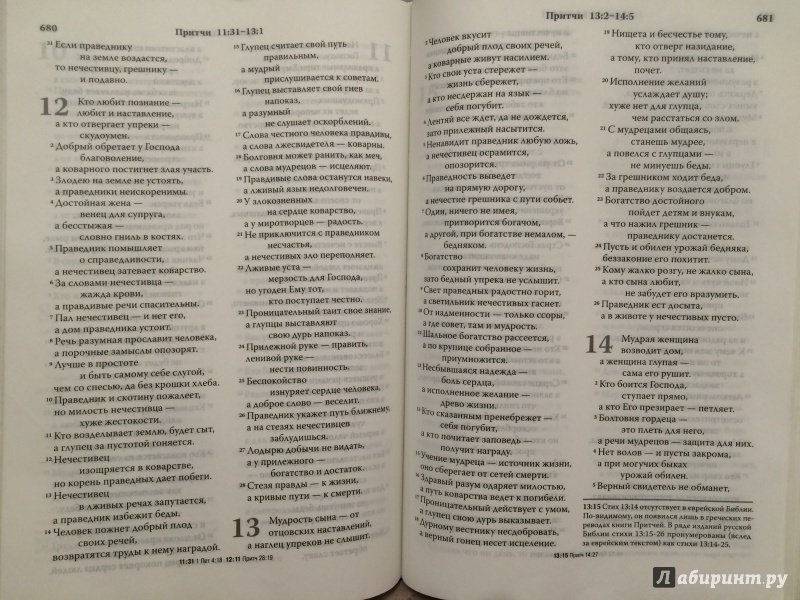 Иллюстрация 3 из 3 для Библия, современный русский перевод | Лабиринт - книги. Источник: Ksenia  Vidiakinа