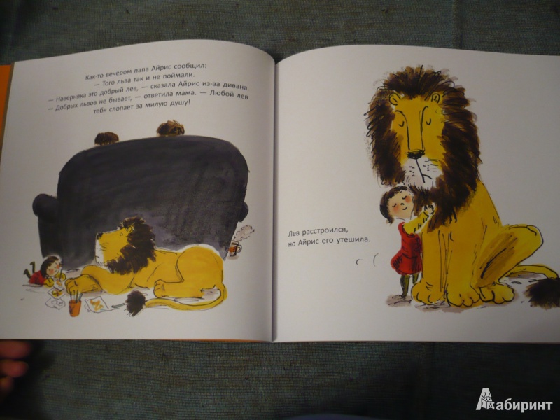 Иллюстрация 24 из 26 для Как спрятать льва - Хелен Стивенс | Лабиринт - книги. Источник: angela_kvitka