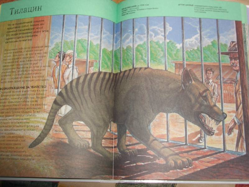 Иллюстрация 45 из 58 для Вымершие животные. Полная энциклопедия | Лабиринт - книги. Источник: sher