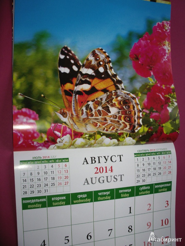 Иллюстрация 10 из 17 для Календарь 2014 "Календарь природы" (70408) | Лабиринт - сувениры. Источник: Tiger.