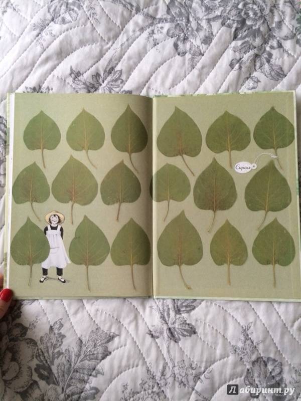 Иллюстрация 26 из 33 для Календарь Линнеи - Кристина Бьорк | Лабиринт - книги. Источник: Зайцева  Александра