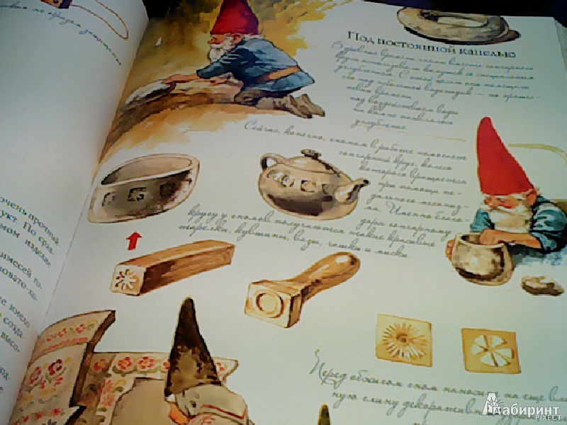 Иллюстрация 25 из 63 для Энциклопедия гномов - Вил Хёйген | Лабиринт - книги. Источник: St.Rokka