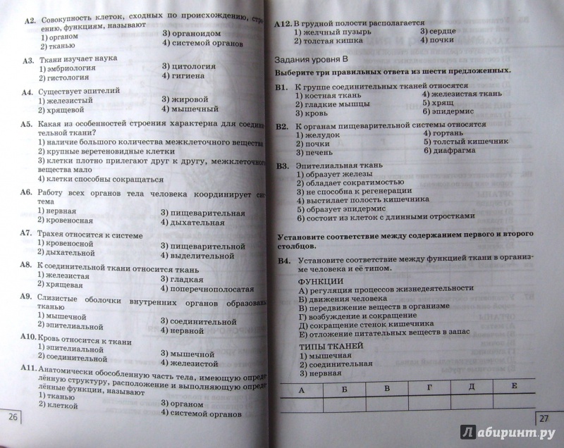 Иллюстрация 25 из 34 для Биология. Человек. 8 класс. Рабочая тетрадь к учебнику Н. И. Сонина, М. Р. Сапина - Сонин, Агафонова | Лабиринт - книги. Источник: Соловьев  Владимир