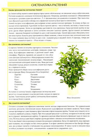 Иллюстрация 5 из 6 для Все о комнатных растениях в вопросах и ответах - Ван, Неер | Лабиринт - книги. Источник: Золотая рыбка
