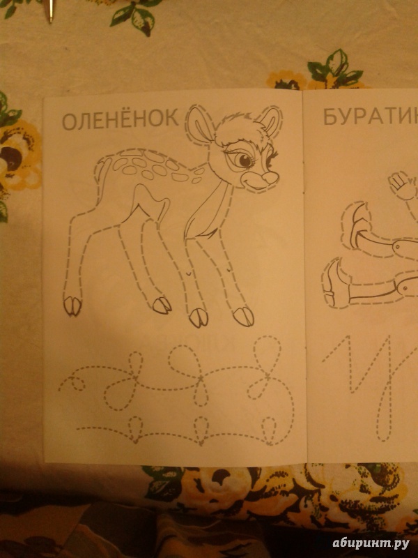 Иллюстрация 32 из 37 для Олененок - И. Медеева | Лабиринт - книги. Источник: Луганская  Aнна