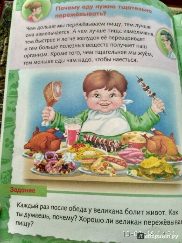 Иллюстрация 33 из 43 для О продуктах питания - Марина Султанова | Лабиринт - книги. Источник: Микрекова  Галина