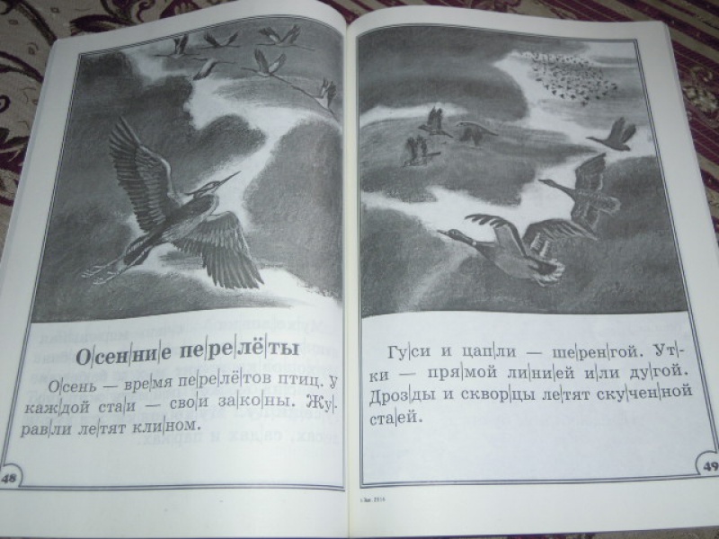Иллюстрация 10 из 13 для 100 познавательных текстов для обучения детей чтению - Узорова, Нефедова | Лабиринт - книги. Источник: Iwolga