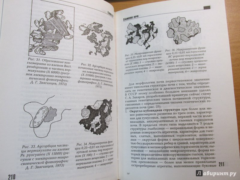 Иллюстрация 6 из 9 для Морфология почв - Борис Розанов | Лабиринт - книги. Источник: Алекс