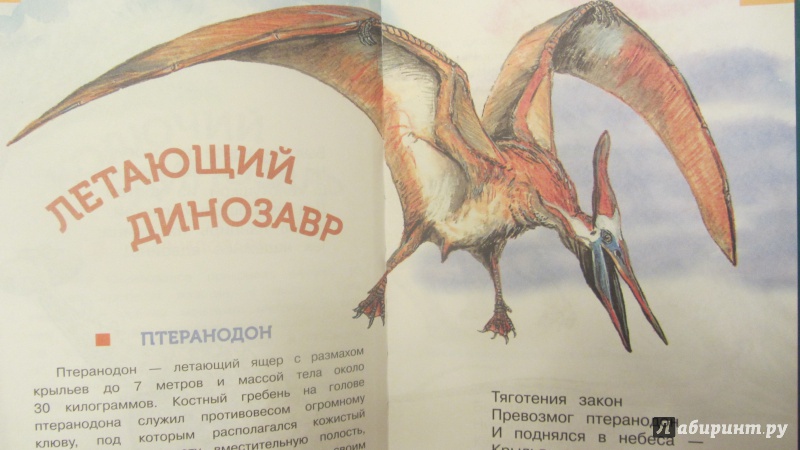 Иллюстрация 20 из 28 для Жили-были динозавры - Александр Тихонов | Лабиринт - книги. Источник: Мерёжина Марина
