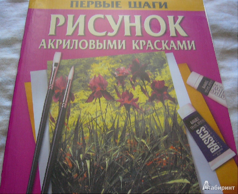 Иллюстрация 1 из 23 для Рисунок акриловыми красками - Вики Лорд | Лабиринт - книги. Источник: Nika