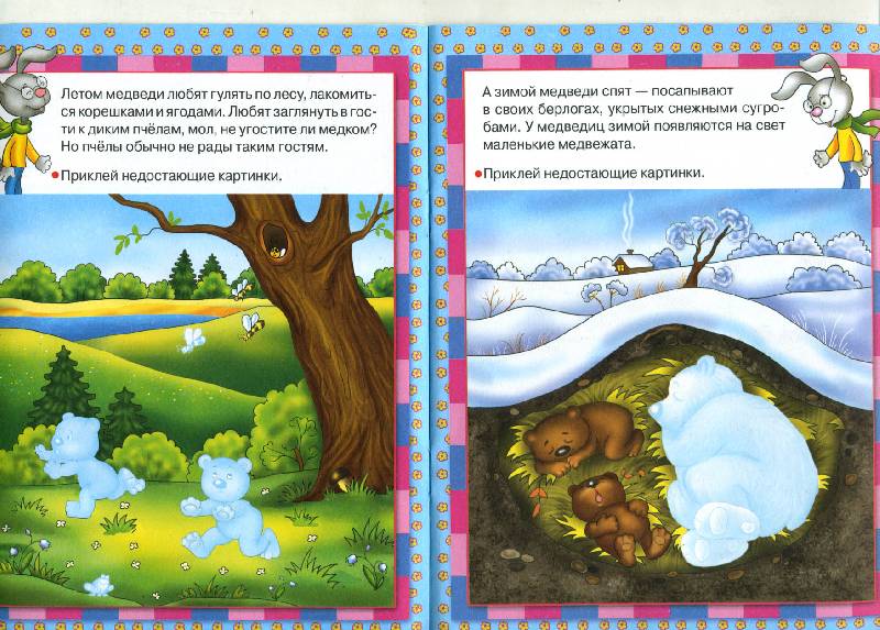 Иллюстрация 6 из 7 для Кто в лесу живет - Е. Шарикова | Лабиринт - книги. Источник: РИВА