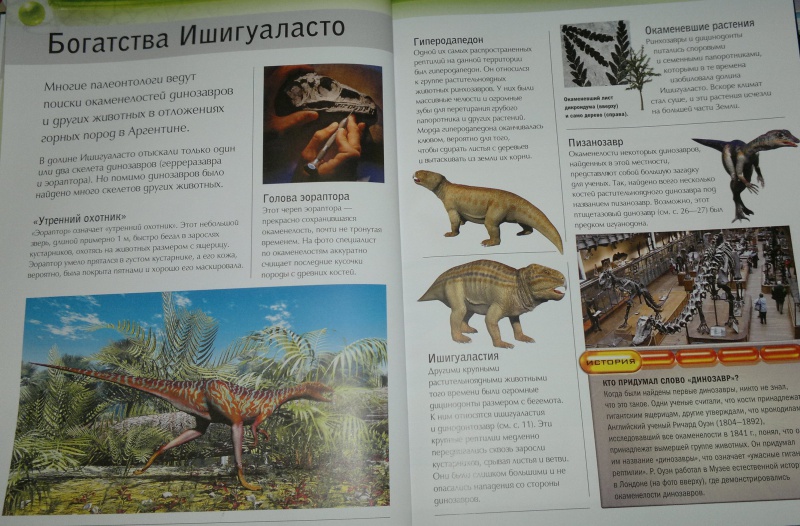 Иллюстрация 10 из 26 для Динозавры - Майк Бентон | Лабиринт - книги. Источник: Леонид Сергеев