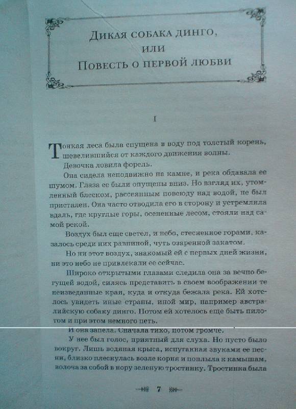 Иллюстрация 4 из 6 для Дикая собака динго, или Повесть о первой любви - Рувим Фраерман | Лабиринт - книги. Источник: лошадка