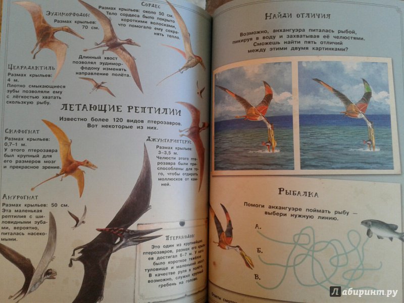 Иллюстрация 17 из 42 для Занимательная зоология. Динозавры - Полли Чизман | Лабиринт - книги. Источник: Ксения