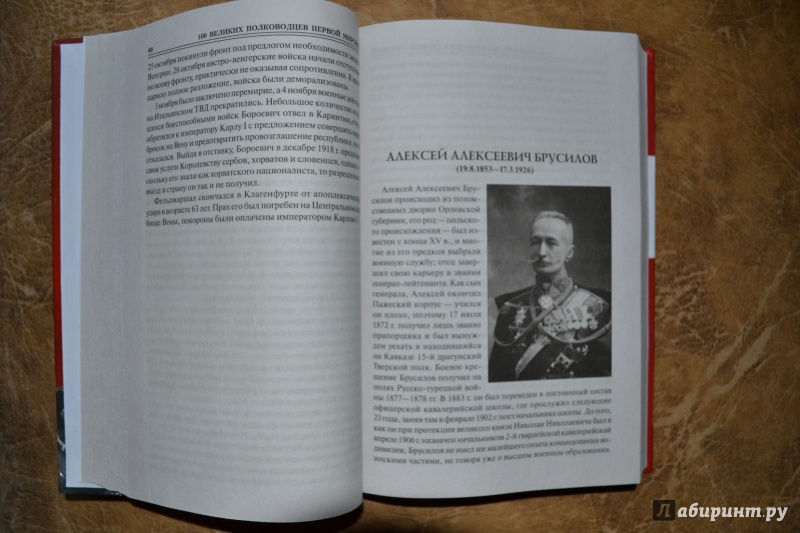Иллюстрация 16 из 34 для 100 великих полководцев Первой мировой - Константин Залесский | Лабиринт - книги. Источник: Белоус Марина