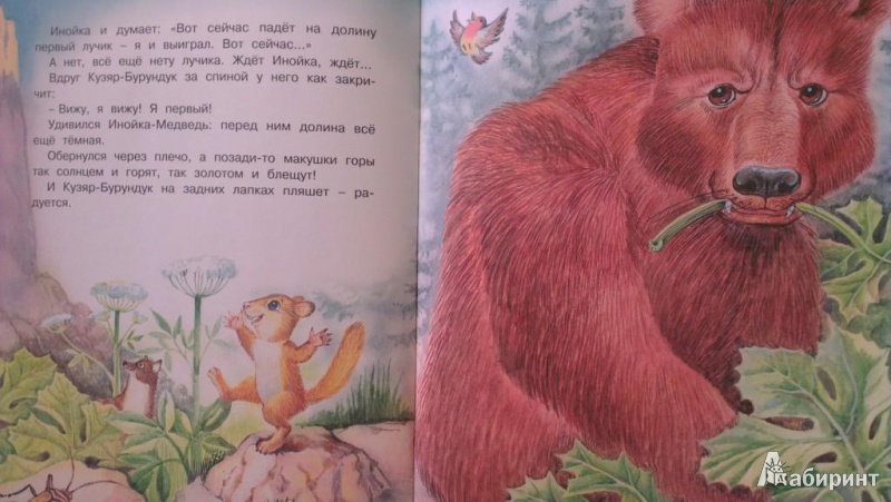 Иллюстрация 7 из 24 для Глаза и уши. Кузяр-Бурундук и Инойка-Медведь - Виталий Бианки | Лабиринт - книги. Источник: Katty