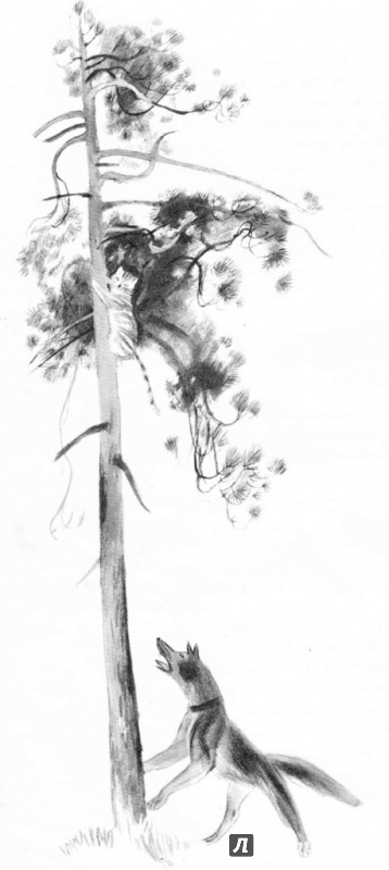 Иллюстрация 12 из 44 для Сосны шумят - Ирина Токмакова | Лабиринт - книги. Источник: Раскова  Юлия