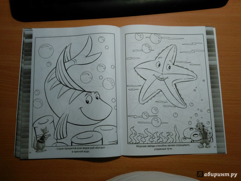 Иллюстрация 16 из 16 для Веселая раскраска. Морские создания | Лабиринт - книги. Источник: Горяева  Любовь