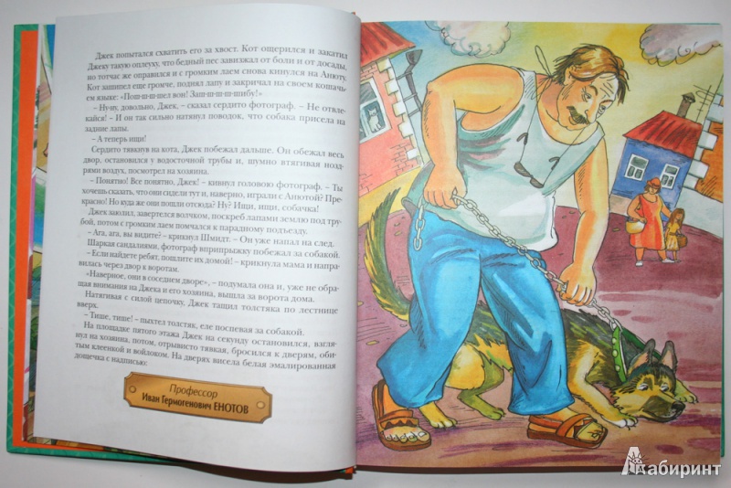 Иллюстрация 10 из 86 для Необыкновенные приключения Карика и Вали - Ян Ларри | Лабиринт - книги. Источник: Попова  Анна