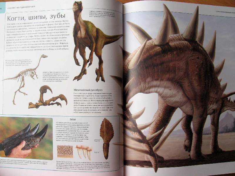 Иллюстрация 67 из 109 для Динозавры. Иллюстрированный атлас - Майкл Бретт-Шуман | Лабиринт - книги. Источник: Red cat ;)