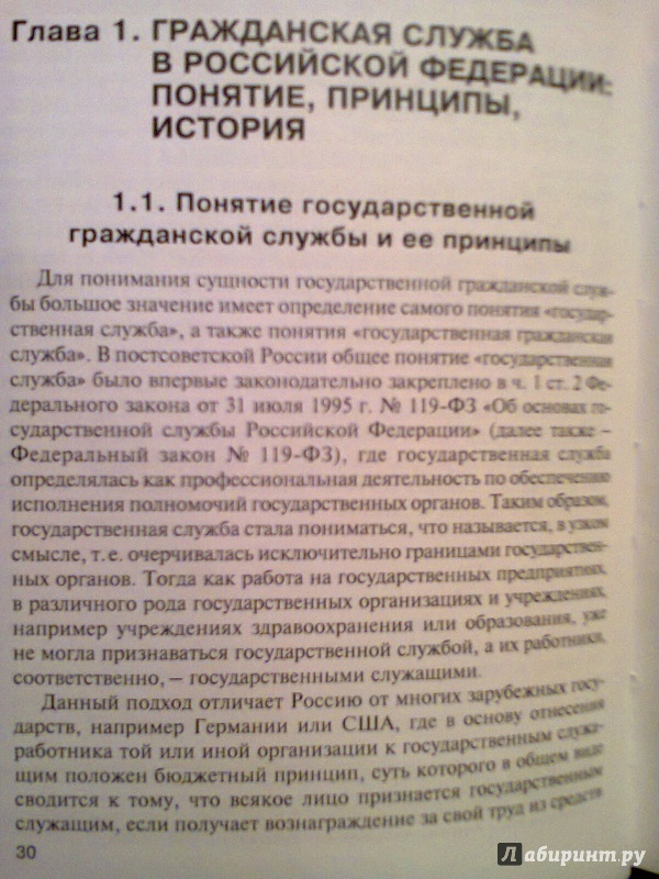 Иллюстрация 4 из 8 для Государственная гражданская служба. Учебный курс - Гришковец, Фомина, Ростовцева | Лабиринт - книги. Источник: Малаховская  Елена