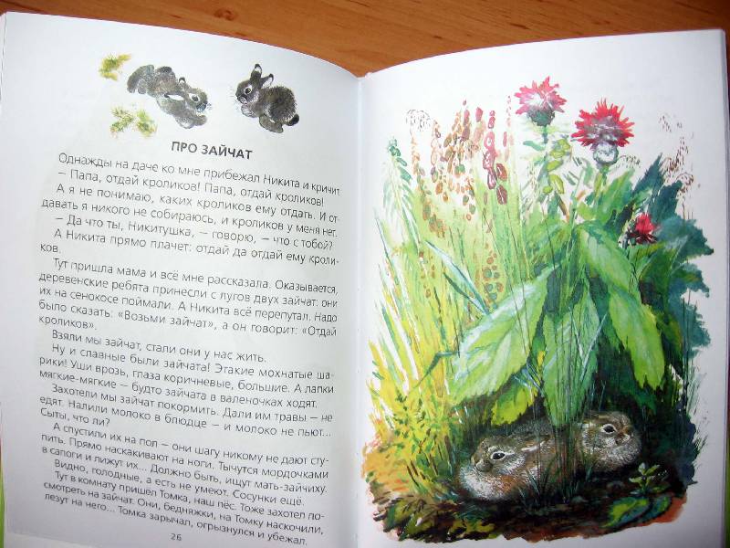 Иллюстрация 51 из 55 для Болтливая сорока - Евгений Чарушин | Лабиринт - книги. Источник: Red cat ;)