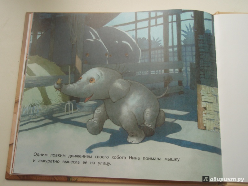 Иллюстрация 21 из 33 для Няня для слоненка - Фатима Шарафеддин | Лабиринт - книги. Источник: Лучик Солнца